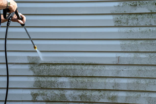 Best Storm Damage Siding Repair  in , MN