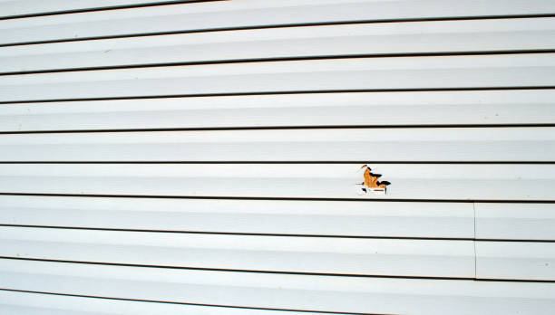 Best James Hardie Siding  in , MN