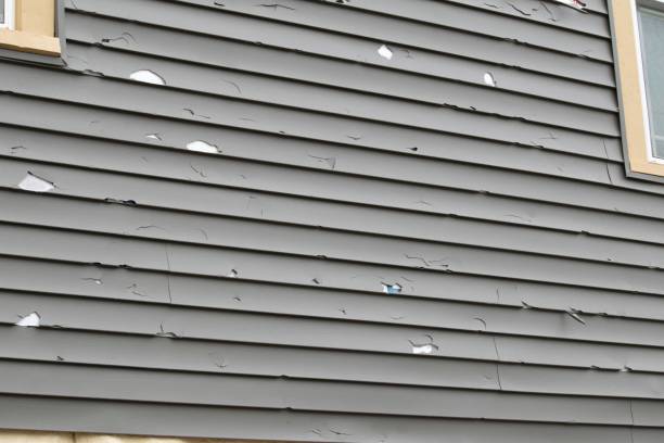 Best Engineered Wood Siding  in , MN